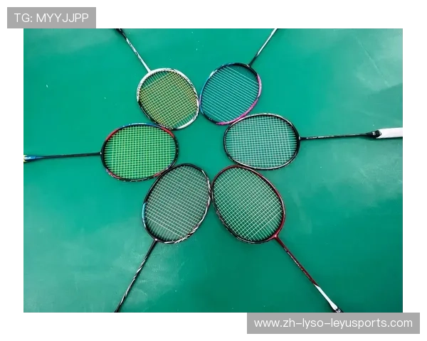 羽毛球和羽毛球拍多少钱